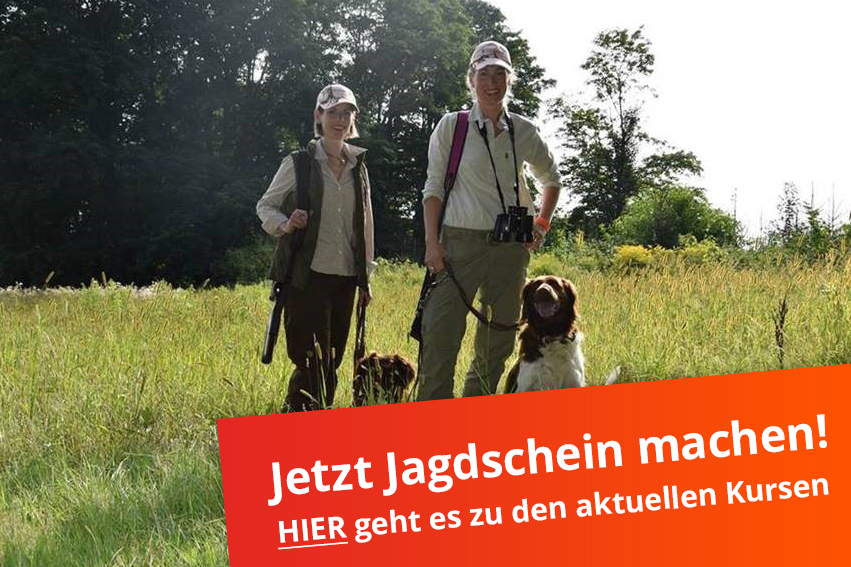 Jetzt Jagdschein in Osnabrück machen